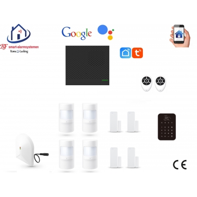 Home-locking wifi Google assistant beveiligingsbox voor alarm detectoren. ST-01P set 7